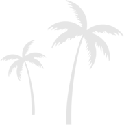 palms